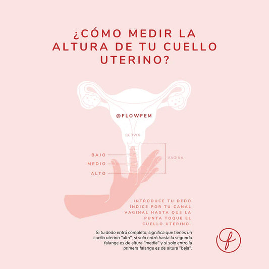 Siente tu cérvix, mídelo y elige tu talla ideal de copa menstrual