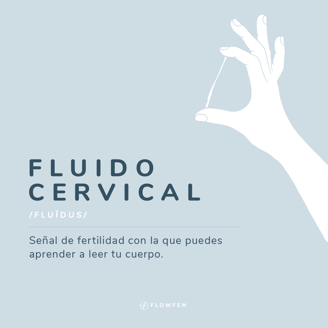 Tu flujo cervical te habla